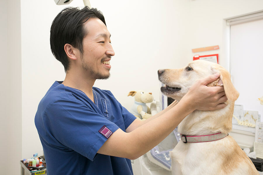 アイリー動物病院　臼井院長