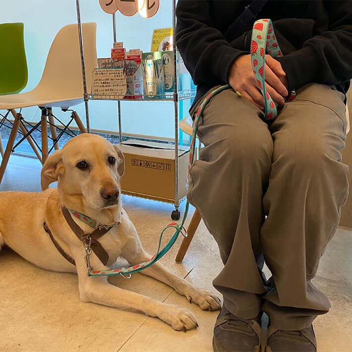 犬はできるだけリードを短く持って、そばにいてあげてください。